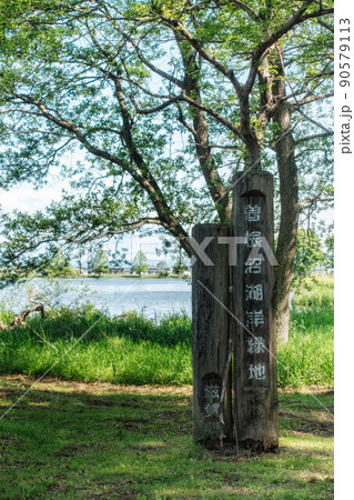 滋賀県彦根市の曽根沼湖岸緑地の看板と曽根沼が見える風景 90579113