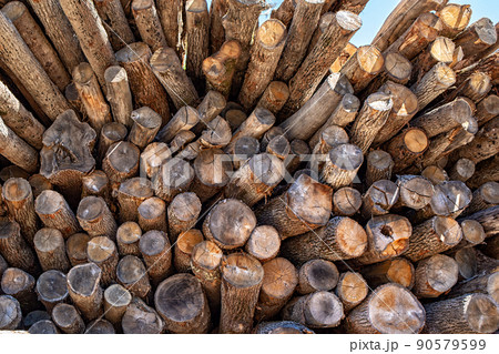 A pile of sawn logs. Logging production. Close up 90579599