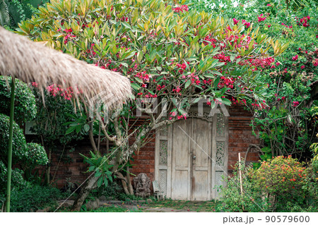 Brick wall with white door, surrounded by thickets of plants and flowers. At the door is a small statue of the Hindu deity Ganesha 90579600
