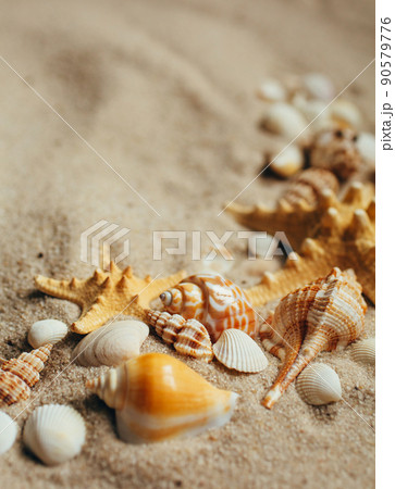 Sea shell and starfish on send close up. Macro photo. Sea shell and starfish on send close up. Macro photo. 90579776