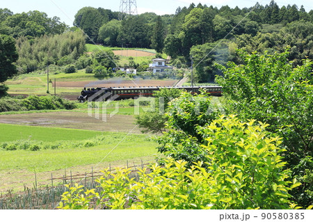 真岡鐵道「5月下旬のSLもおか号が走る風景」 90580385