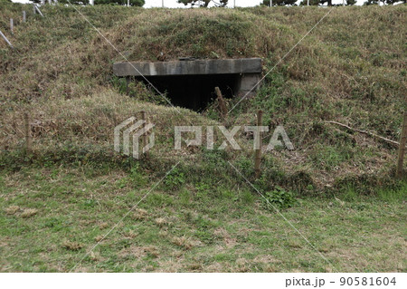 台場公園 弾薬庫跡 台場公園 弾薬庫跡 90581604