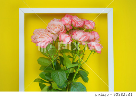 the white frame lies in a different letter, highlighting the center, in which there is a bouquet of pink roses on a bright yellow background. High quality photo the white frame lies in a different letter, highlighting the center, in which there is a bouquet of pink roses on a bright yellow background. High quality photo 90582531