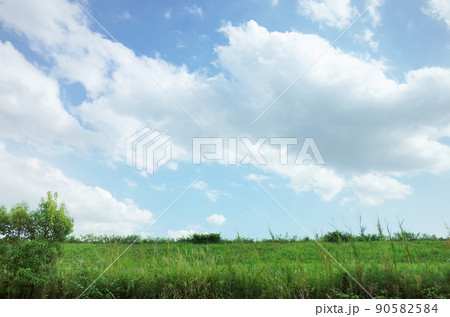 川の堤防と青空 90582584