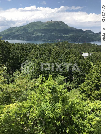 初夏の箱根峠からの蘆ノ湖と駒ケ岳の眺め 初夏の箱根峠からの蘆ノ湖と駒ケ岳の眺め 90582828