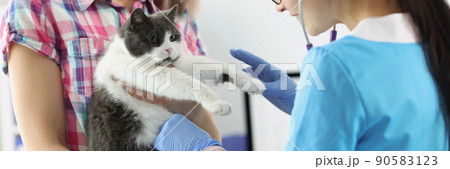 Female owner hold cat on hands and veterinarian woman examine domestic pet 90583123