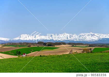 美瑛・富良野の風景 美瑛・富良野の風景 90583356