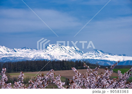美瑛・富良野の風景 90583363