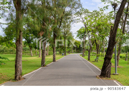 public park public park 90583647