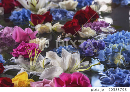 210726桜山八幡宮m110 210726桜山八幡宮m110 90583798