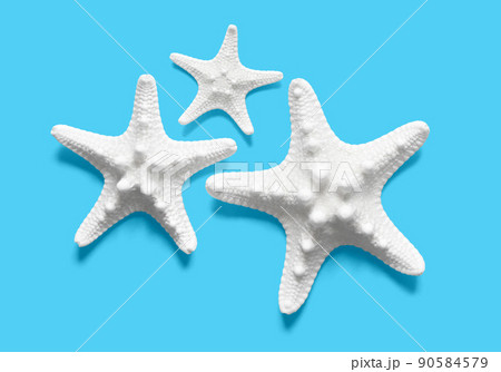 綺麗な白いヒトデ、海・夏のイメージ素材 綺麗な白いヒトデ、海・夏のイメージ素材 90584579