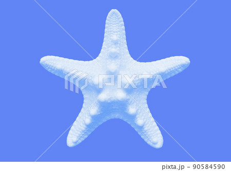 キレイな白いヒトデ、海・夏のイメージ素材 キレイな白いヒトデ、海・夏のイメージ素材 90584590