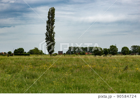 View over the Flemish countryside and agriculture fields around Lebbeke View over the Flemish countryside and agriculture fields around Lebbeke 90584724