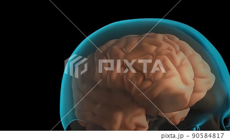 Know your brain. of Meninges Know your brain. of Meninges 90584817