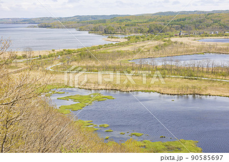 北海道、釧路湿原の景色 北海道、釧路湿原の景色 90585697