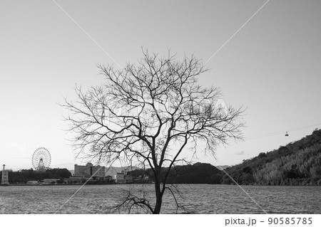 浜名湖　舘山寺　ロープウェイ 90585785