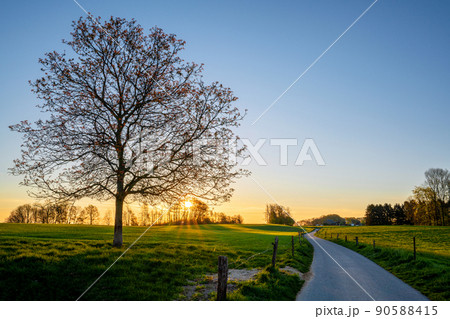 Bergisches Land, Odenthal, Germany Bergisches Land, Odenthal, Germany 90588415