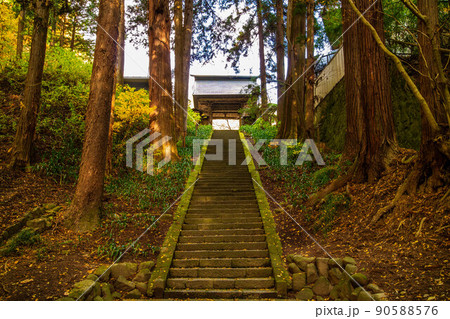 秋の信州上田 紅葉の安楽寺 参道と山門 秋の信州上田 紅葉の安楽寺 参道と山門 90588576