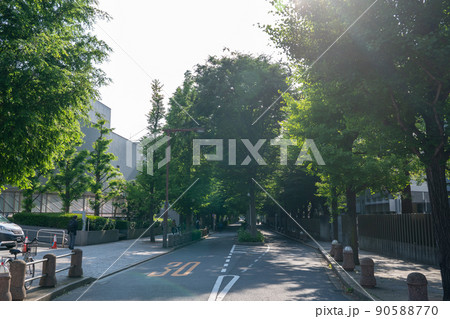 新宿区　コズミック通り 90588770