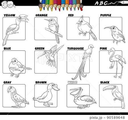 basic colors with birds animal characters set coloring page basic colors with birds animal characters set coloring page 90589648