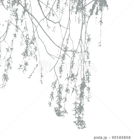 Shadow from vegetation on the wall  90589808