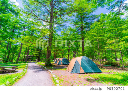 【キャンプ素材】新緑のキャンプ場【長野県】 90590701