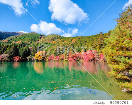 伊奈ヶ湖(秋) 伊奈ヶ湖(秋) 90590761