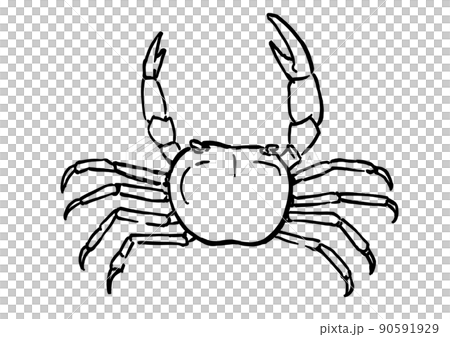 シンプルイラスト サワガニのイラスト素材