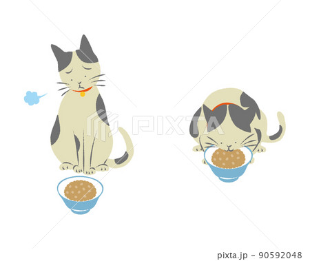 食事と猫のセット 90592048