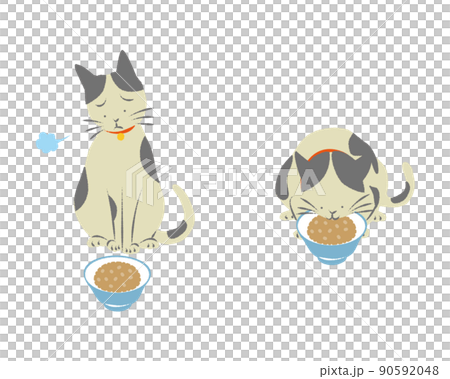 食事と猫のセット 食事と猫のセット 90592048