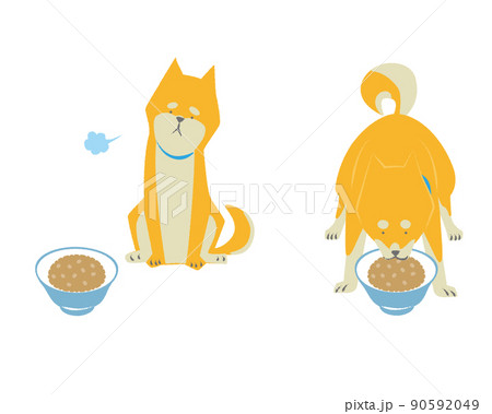 食事と犬のセット 90592049