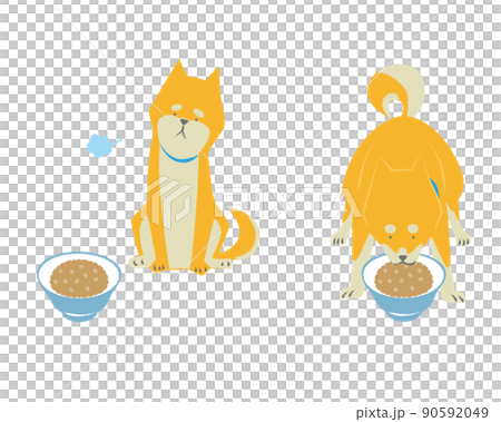 食事と犬のセット 90592049