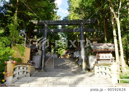 長野県下諏訪町 諏訪大社下社秋宮の神橋と鳥居と新緑 長野県下諏訪町 諏訪大社下社秋宮の神橋と鳥居と新緑 90592626