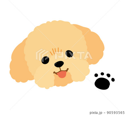 デフォルメっぽトイプードルの顔のイラスト素材