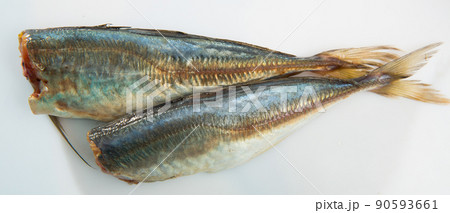 Atlantic horse mackerel on white background Atlantic horse mackerel on white background 90593661