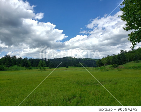 大草原の写真 90594245