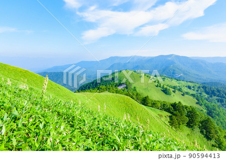 信州ビーナスライン・三峰山トレッキング（登山道から美ヶ原方面の眺め） 90594413