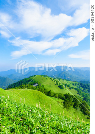 信州ビーナスライン・三峰山トレッキング（登山道から美ヶ原方面の眺め） 90594420