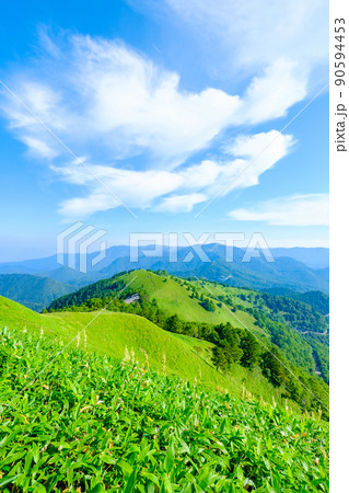 信州ビーナスライン・三峰山トレッキング（登山道から美ヶ原方面の眺め） 90594453