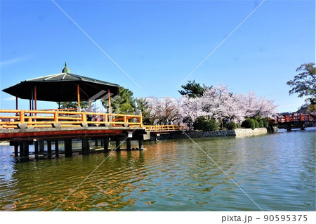 九華公園 九華公園 90595375
