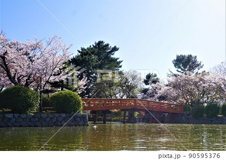 九華公園 九華公園 90595376