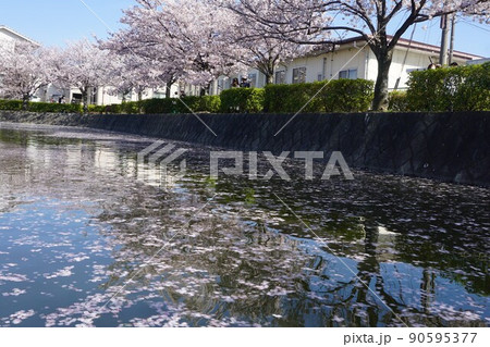 九華公園 九華公園 90595377