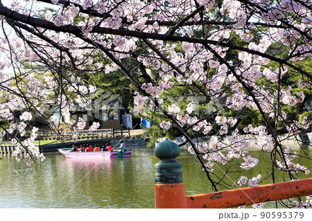 九華公園 九華公園 90595379