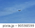 大空を翔るアメリカ空軍のF-16戦闘機 90598599