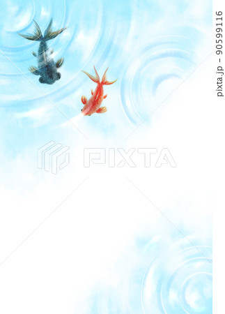 金魚 黒と赤 文字なし 金魚 黒と赤 文字なし 90599116