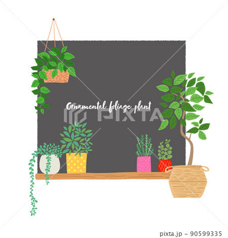 観葉植物のと黒板のイラスト 90599335