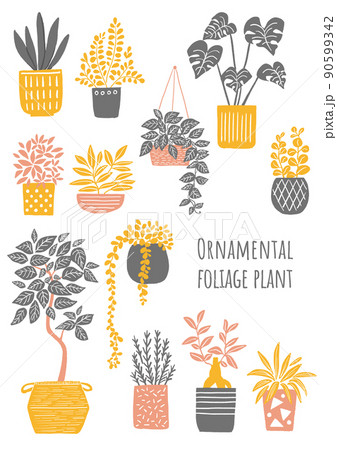 観葉植物のイラスト 90599342