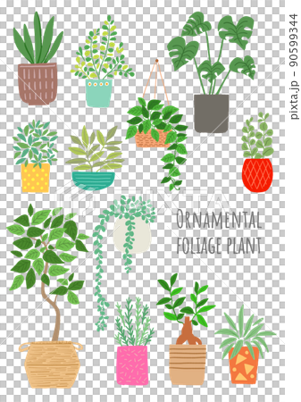 観葉植物のイラスト 観葉植物のイラスト 90599344