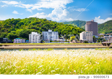 三滝橋下流域の太田川緑地から三滝本町、三滝寺方面を展望しています。初夏の風景をどうぞ。広島県 三滝橋下流域の太田川緑地から三滝本町、三滝寺方面を展望しています。初夏の風景をどうぞ。広島県 90600673
