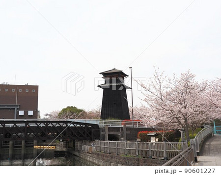 新川千本桜 江戸川区新川 新川千本桜 江戸川区新川 90601227